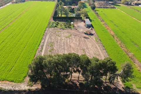 Byhus i Dolores, Alicante, Dolores - € 525.000 | Ref: f3785070-f102-4030-b - foto 36