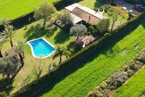 Byhus i Dolores, Alicante, Dolores - € 525.000 | Ref: f3785070-f102-4030-b - foto 39