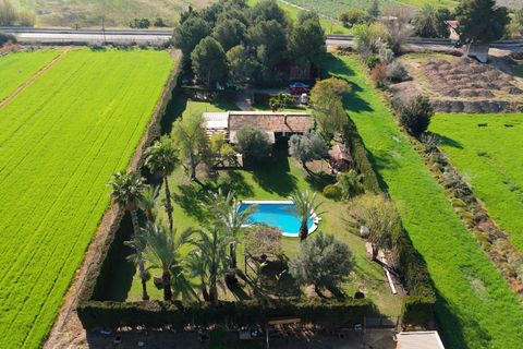 Byhus i Dolores, Alicante, Dolores - € 525.000 | Ref: f3785070-f102-4030-b - foto 41