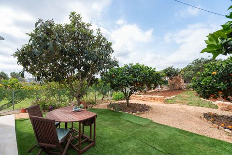 Villa a Ibiza, Ibiza, Ibiza - € 1.250.000 | Ref: 3d39513e-9357-4823-b - foto 36