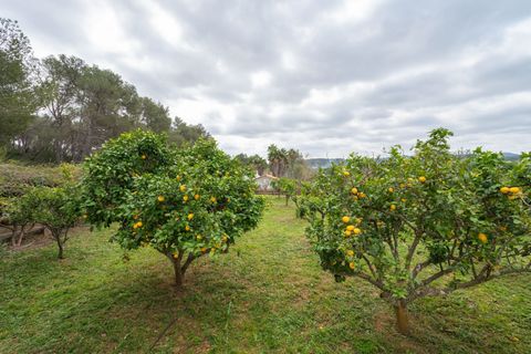 Villa a Ibiza, Ibiza, Ibiza - € 1.250.000 | Ref: 3d39513e-9357-4823-b - foto 40