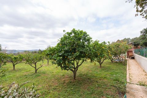 Villa a Ibiza, Ibiza, Ibiza - € 1.250.000 | Ref: 3d39513e-9357-4823-b - foto 44
