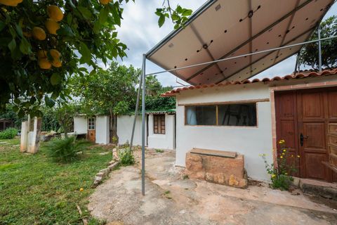 Villa a Ibiza, Ibiza, Ibiza - € 1.250.000 | Ref: 3d39513e-9357-4823-b - foto 45