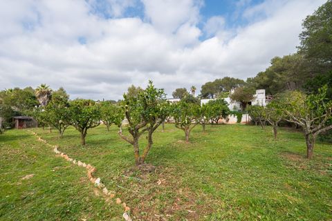 Villa a Ibiza, Ibiza, Ibiza - € 1.250.000 | Ref: 3d39513e-9357-4823-b - foto 50