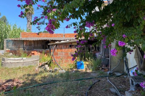 Villa i Leiria, Leiria, Leiria - € 195.000 | Ref: 222240109 - foto 18