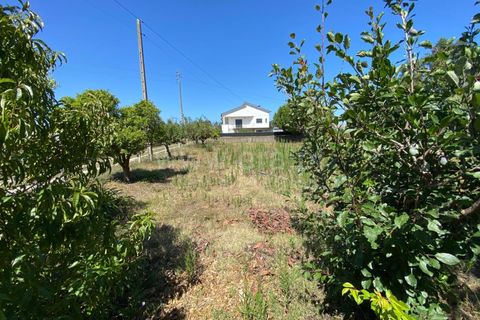 Villa i Leiria, Leiria, Leiria - € 195.000 | Ref: 222240109 - foto 19