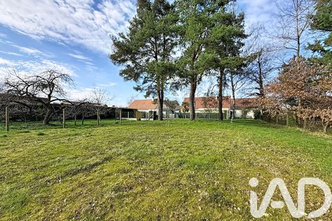 Terra a Les Montils, Loir-et-Cher, Les Montils - € 117.000 | Ref: 46475 - foto 6