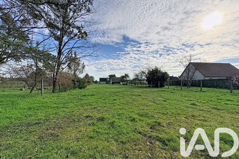 Terra a Les Montils, Loir-et-Cher, Les Montils - € 117.000 | Ref: 46475 - foto 7