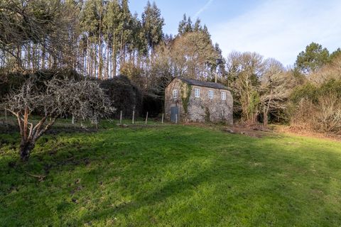 Landejendom i Vilalba, Lugo, Vilalba - € 50.000 | Ref: 2712 - foto 17