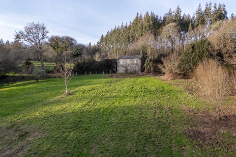 Landejendom i Vilalba, Lugo, Vilalba - € 50.000 | Ref: 2712 - foto 19