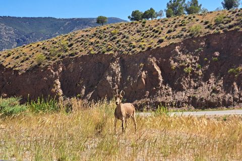 Villa a Ohanes, Almeria, Ohanes - € 62.000 | Ref: EXP13464/8930 - foto 37