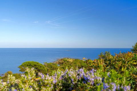 Villa i Sainte-Maxime, Var, Sainte-Maxime - € 3.950.000 | Ref: HH-16092262 - foto 19