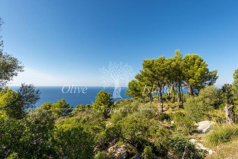 Villa a Deia, Mallorca, Deia - € 5.500/mes | Ref: A123NP1 - foto 33