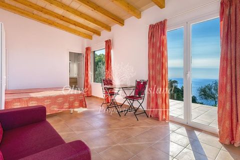 Villa a Deia, Mallorca, Deia - € 5.500/mes | Ref: A123NP1 - foto 34