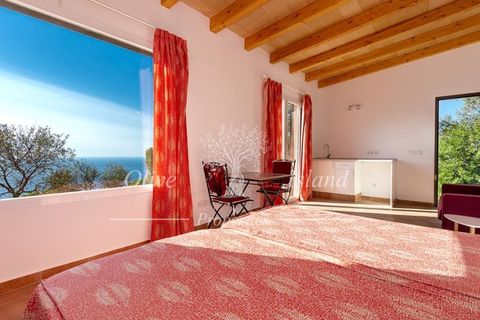 Villa a Deia, Mallorca, Deia - € 5.500/mes | Ref: A123NP1 - foto 35