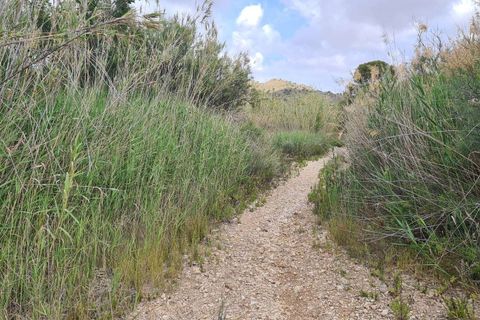 Helårsgrund i Murcia, Murcia, Murcia - € 299.900 | Ref: 410756 - foto 4