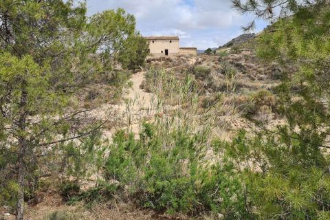 Helårsgrund i Murcia, Murcia, Murcia - € 299.900 | Ref: 410756 - foto 5