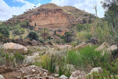 Helårsgrund i Murcia, Murcia, Murcia - € 299.900 | Ref: 410756 - foto 7