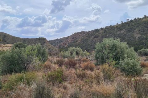 Helårsgrund i Murcia, Murcia, Murcia - € 299.900 | Ref: 410756 - foto 8