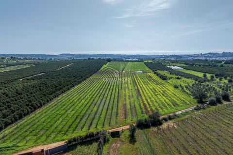 Villa i Algoz, Faro, Algoz - € 798.000 | Ref: CNV8188 - foto 4