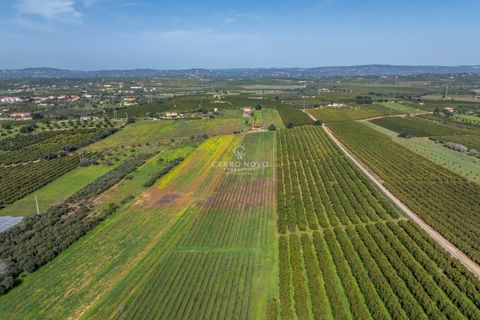 Villa i Algoz, Faro, Algoz - € 798.000 | Ref: CNV8188 - foto 24
