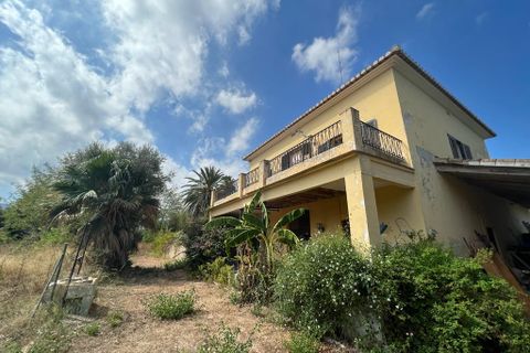 Terra a Denia, Alicante, Denia - € 715.000 | Ref: D011 - foto 3