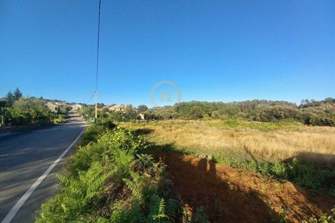 Helårsgrund i Cavernaes, Viseu, Cavernaes - € 55.000 | Ref: SÒL_2328 - foto 2