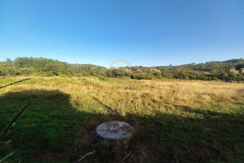 Helårsgrund i Cavernaes, Viseu, Cavernaes - € 55.000 | Ref: SÒL_2328 - foto 3