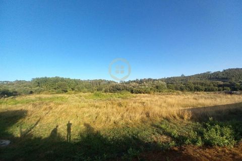 Helårsgrund i Cavernaes, Viseu, Cavernaes - € 55.000 | Ref: SÒL_2328 - foto 5