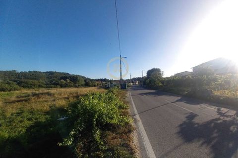 Helårsgrund i Cavernaes, Viseu, Cavernaes - € 55.000 | Ref: SÒL_2328 - foto 6