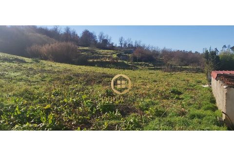 Helårsgrund i Viseu, Viseu, Viseu - € 75.000 | Ref: SÒL_2330 - foto 8