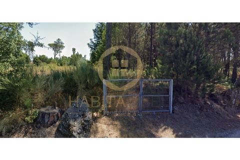 Terra a Santar e Moreira, Viseu, Santar e Moreira - € 40.000 | Ref: SÒL_2327 - foto 2