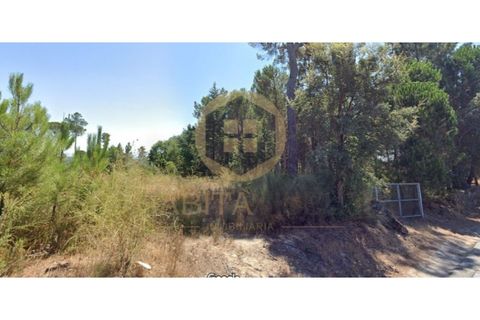 Terra a Santar e Moreira, Viseu, Santar e Moreira - € 40.000 | Ref: SÒL_2327 - foto 3