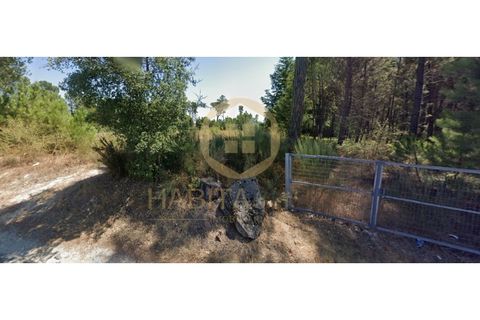 Terra a Santar e Moreira, Viseu, Santar e Moreira - € 40.000 | Ref: SÒL_2327 - foto 4