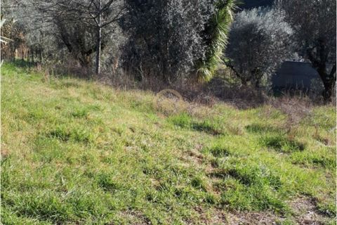 Helårsgrund i Viseu, Viseu, Viseu - € 40.000 | Ref: SÒL_2322 - foto 1
