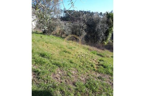 Helårsgrund i Viseu, Viseu, Viseu - € 40.000 | Ref: SÒL_2322 - foto 2