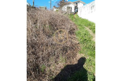 Helårsgrund i Viseu, Viseu, Viseu - € 40.000 | Ref: SÒL_2322 - foto 4