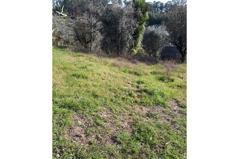 Helårsgrund i Viseu, Viseu, Viseu - € 40.000 | Ref: SÒL_2322 - foto 9