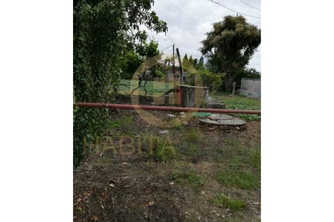 Villa i Viseu, Viseu, Viseu - € 85.000 | Ref: 2424 - foto 2