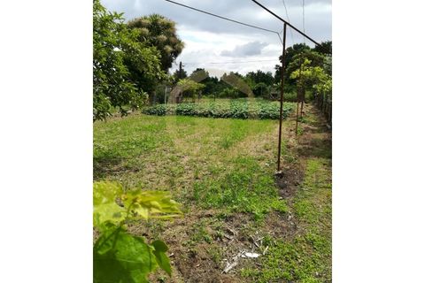 Villa i Viseu, Viseu, Viseu - € 85.000 | Ref: 2424 - foto 7