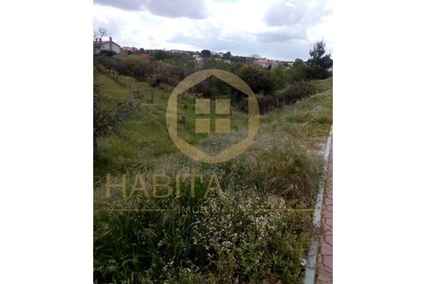 Farm i Mangualde, Viseu, Mangualde - € 150.000 | Ref: 2405 - foto 2