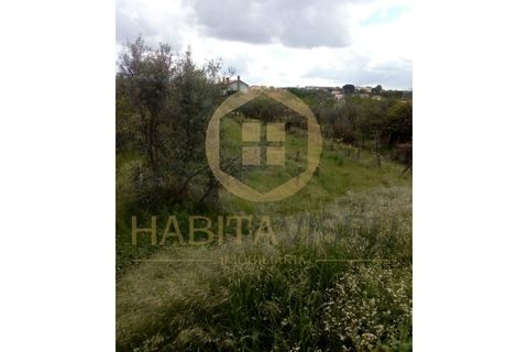 Farm i Mangualde, Viseu, Mangualde - € 150.000 | Ref: 2405 - foto 3