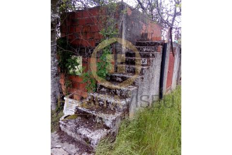 Farm i Mangualde, Viseu, Mangualde - € 150.000 | Ref: 2405 - foto 4