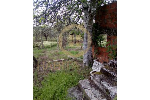 Farm i Mangualde, Viseu, Mangualde - € 150.000 | Ref: 2405 - foto 5
