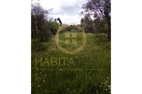 Farm i Mangualde, Viseu, Mangualde - € 150.000 | Ref: 2405 - foto 6