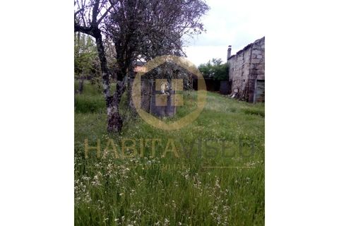 Farm i Mangualde, Viseu, Mangualde - € 150.000 | Ref: 2405 - foto 8