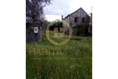 Farm i Mangualde, Viseu, Mangualde - € 150.000 | Ref: 2405 - foto 9