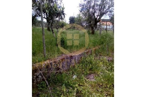 Farm i Mangualde, Viseu, Mangualde - € 150.000 | Ref: 2405 - foto 10