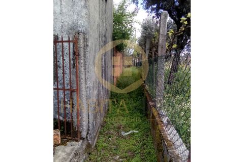 Farm i Mangualde, Viseu, Mangualde - € 150.000 | Ref: 2405 - foto 11