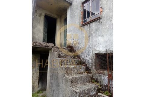 Farm i Mangualde, Viseu, Mangualde - € 150.000 | Ref: 2405 - foto 12